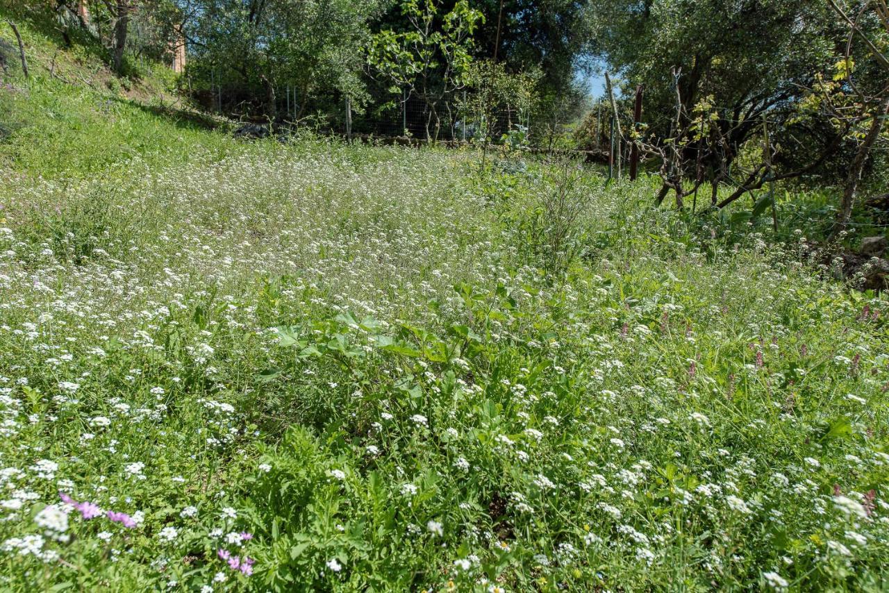 Вилла Lily'S House Ano Korakiana Экстерьер фото